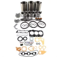 SET REPARATIE MOTOR PENTRU EXCAVATOR HITACHI, CASE, SUMITOMO