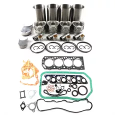 SET REPARATIE MOTOR PENTRU STIVUITOR HYUNDAI HC20-35H1, H100